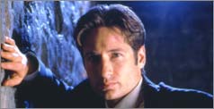 David Duchovny as Special Agent Fox Mulder